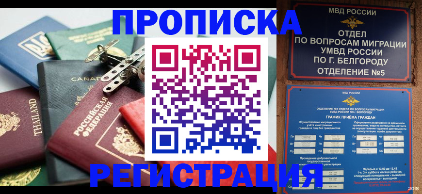 временная регистрация недорого в Змеиногорске